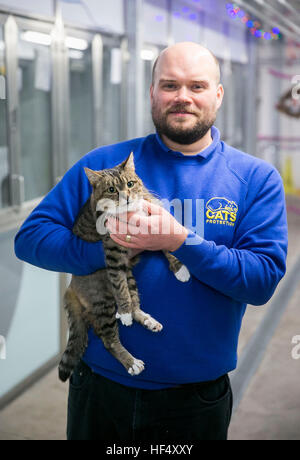 Baby, eine weibliche Katze 8y2m (ca.) durch Deputy Manager Andrew Doherty bei Katzen Schutz Belfast Adoption Centre als tierische Liebe statt einen dringenden Appell für Möchtegern Katze Eigentümer erwägt ältere Tieren gemacht. Stockfoto