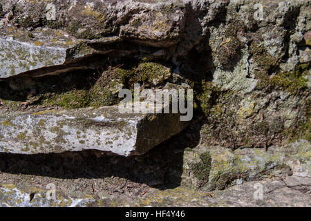 Alte Steinmauer mit Moos auf sonnigen Tag Textur Hintergrund Stockfoto