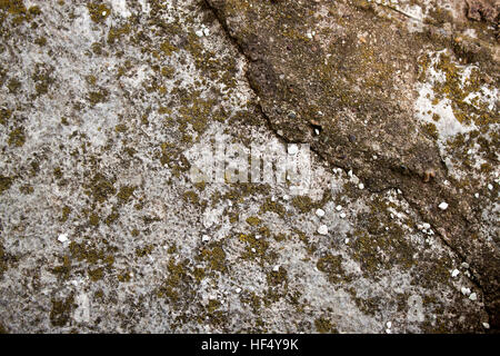 Raue Steinoberfläche mit Moos Textur Hintergrund Stockfoto