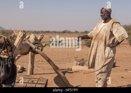 Sammeln von Wasser aus einem Brunnen, Naqa, Sudan Stockfoto