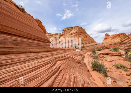 Eingang von The Wave - bunte und wirbelnden Eingang von der berühmten The Wave in North Coyote Buttes Bereich, Page, Arizona, USA Stockfoto