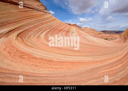 Sandstein-Wirbel - Schichten von bunten Sandstein bei The Wave, eine dramatische erosive Sandstein-Felsformation, die Grenze zu Arizona-Utah. Stockfoto