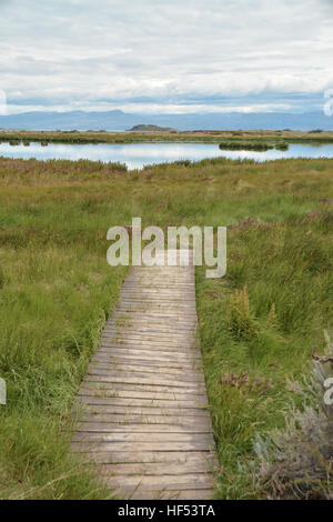 Natürlich aussehende, Holzsteg führt durch eine Landschaft am See Stockfoto