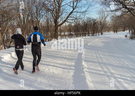 Zwei Personen laufen am Chemin Olmsted nach Schnee Sturm, Mount Royal Park, Montreal, Kanada (2016) Stockfoto