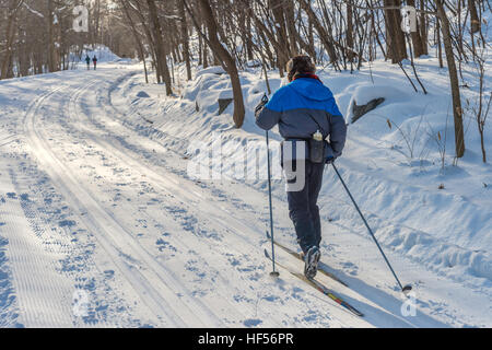 Montreal, Kanada - 15. Dezember 2016: Rückansicht des Mannes Skifahren am Mont-Royal. Stockfoto