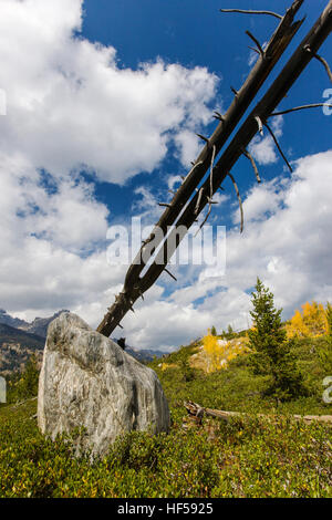 Abgestürzten Baum von einem Waldbrand balanciert auf einem Fels, Trail Taggert See, Teton Mountains, Grand-Teton-Nationalpark, Wyoming Stockfoto