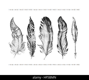 Satz von handgezeichneten Vogelfedern isoliert auf weißem Hintergrund. Boho Dekoration Allegorie schwarzer Feder Vogel Zeichen. abstrakte Dekoration Grafik Zeichnung Pfeil Stockfoto