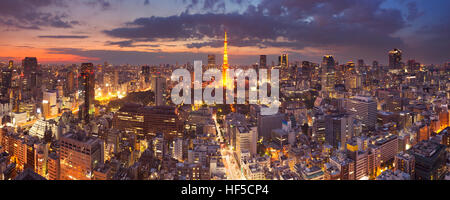 Panorama auf die Skyline von Tokyo, Japan mit dem Tokyo Tower in der Dämmerung fotografiert. Stockfoto