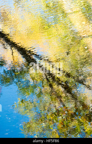 Bäume spiegeln sich in Whetstone Brook, Brattleboro, Vermont. Stockfoto