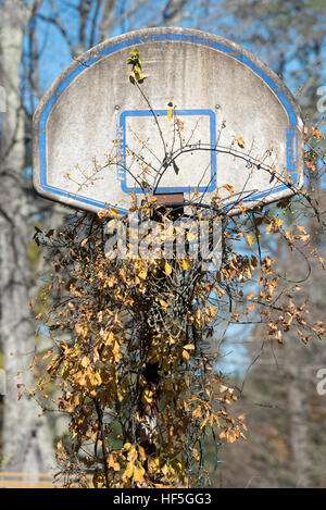 Basketball-Backboard und Hoop, Westminster West, Vermont aufgegeben. Stockfoto