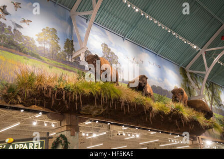 Feierliche Eröffnung des Bass Pro Shops Sportler Center Gainesville, Florida spezialisiert auf alle Aktivitäten im Freien und damit verbundene Tätigkeiten. Stockfoto