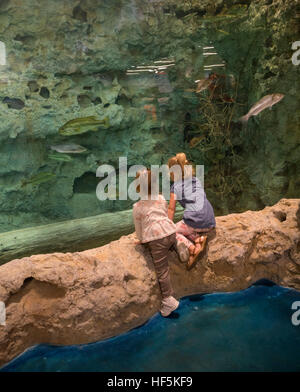 Feierliche Eröffnung des Bass Pro Shops Sportler Center Gainesville, Florida spezialisiert auf alle Aktivitäten im Freien und damit verbundene Tätigkeiten. Stockfoto