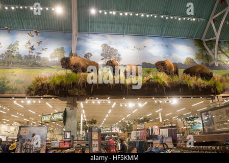 Feierliche Eröffnung des Bass Pro Shops Sportler Center Gainesville, Florida spezialisiert auf alle Aktivitäten im Freien und damit verbundene Tätigkeiten. Stockfoto