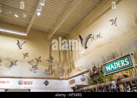 Feierliche Eröffnung des Bass Pro Shops Sportler Center Gainesville, Florida spezialisiert auf alle Aktivitäten im Freien und damit verbundene Tätigkeiten. Stockfoto