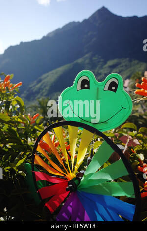 Bunte Wind Wetterfahne grüner Frosch auf grünem Hintergrund Stockfoto