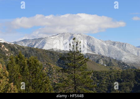 Schneebedeckte San Bernardino Berge Stockfoto