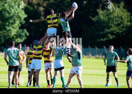 Hochschulen im Vereinigten Königreich: Aberystwyth University Studenten spielen Mannschaftssportarten auf dem Campus - Rugby Stockfoto