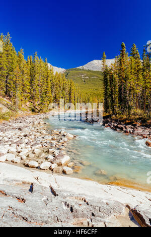 Die Sunwapta River ist ein Nebenfluss des Athabasca River im Jasper National Park in Alberta, Kanada. Das Quellgebiet des Flusses Sunwapta gibt ne Stockfoto