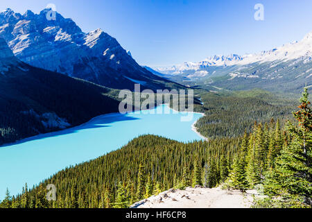 Peyto Lake ist ein Gletscher gespeisten See befindet sich im Banff Nationalpark in den kanadischen Rockies. Der See selbst ist leicht von der Icefields Parkway zugänglich. Stockfoto