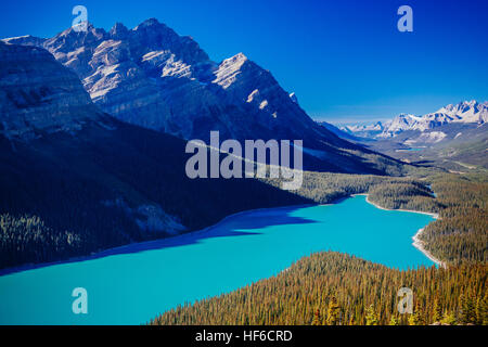 Peyto Lake ist ein Gletscher gespeisten See befindet sich im Banff Nationalpark in den kanadischen Rockies. Der See selbst ist leicht von der Icefields Parkway zugänglich. Stockfoto