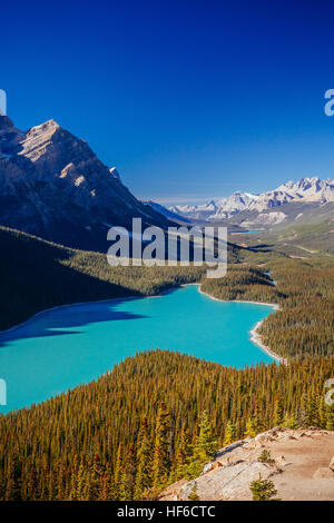 Peyto Lake ist ein Gletscher gespeisten See befindet sich im Banff Nationalpark in den kanadischen Rockies. Der See selbst ist leicht von der Icefields Parkway zugänglich. Stockfoto