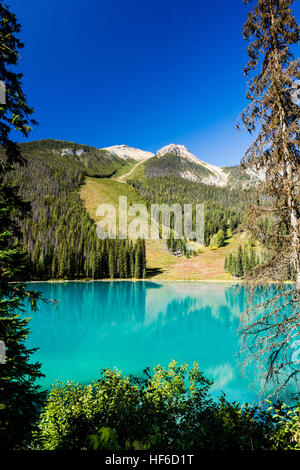 Emerald Lake befindet sich im Yoho Nationalpark, Britisch-Kolumbien, Kanada. Es ist die größte der Yoho 61 Seen und Teiche, sowie eines des Parks Stockfoto