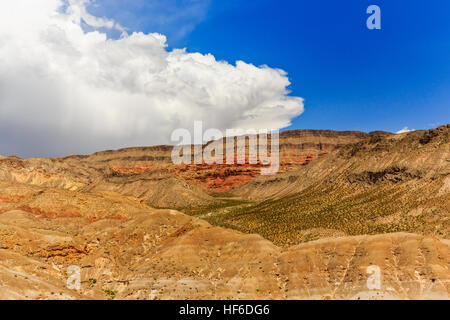 Joshua Tree Weg in der Mojave-Wüste in der Nähe der Scenic Backway. Stockfoto
