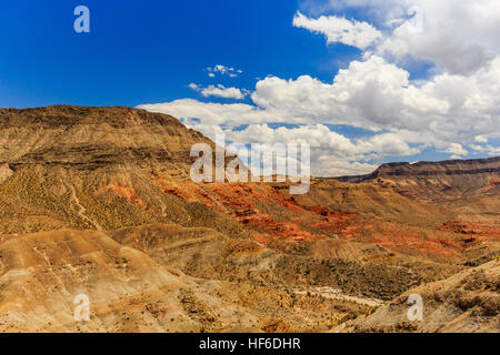 Joshua Tree Weg in der Mojave-Wüste in der Nähe der Scenic Backway. Stockfoto