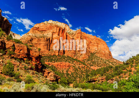 Zion Nationalpark hat viele schöne Sehenswürdigkeiten, Tausende von Besuchern kommen aus der ganzen Welt jedes Jahr. Stockfoto