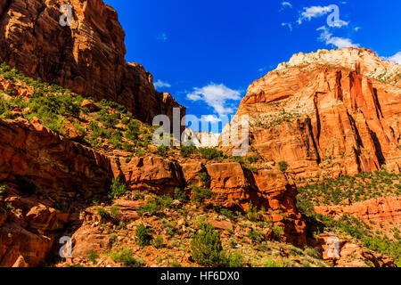 Zion Nationalpark hat viele schöne Sehenswürdigkeiten, Tausende von Besuchern kommen aus der ganzen Welt jedes Jahr. Stockfoto