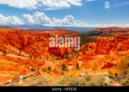 Bryce Canyon ist eine Sammlung von natürlichen Amphitheater des Paunsaugunt Plateaus beiseite. Bryce ist unverwechselbar aufgrund von geologischen Strukturen, so genannte hoodo Stockfoto