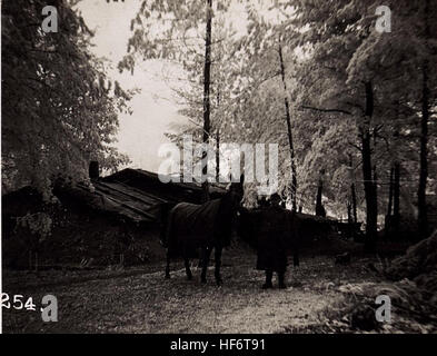 Waldlager, Protzen Bei der Schmiede, 12.reit. Sch.Div. (5-II.1918.) 15711897) Stockfoto