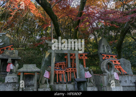 Kitsune und Torii Tor Angebote auf Ichi keine Mine Kamisha, die Spitze des Berges Inari, Fushimi Inari-Taisha-Shinto-Schrein, Kyoto, Japa Stockfoto