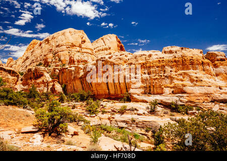 Der Weg zur Hickman Bridge ist beliebteste Wanderung Capitol Reef National Park und mit fantastischen Blick auf Waterpocket Fold und die majestätischen nat Stockfoto