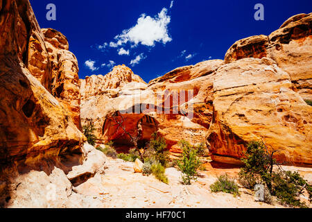 Hickman Natural Bridge ist eine der größten Rock Spannen im Park. Die Brücke hat eine Öffnung von 125 Fuß von oben nach unten und 133 Füße zwischen abutment Stockfoto