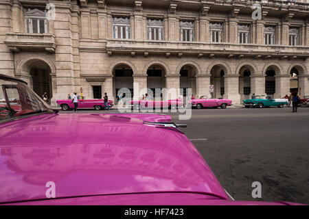 Rosa amerikanische Autos warten auf Kunden zu übernehmen, Oldtimer Touren, La Havanna, Kuba. Stockfoto
