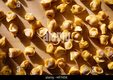 hausgemachte Tortellini, berühmte Pasta in Bologna, Italien Stockfoto