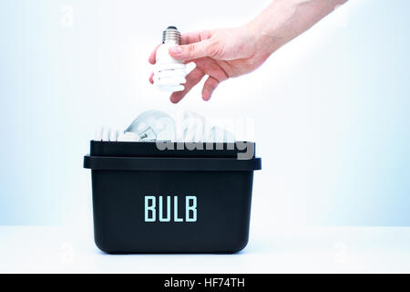 Birne in Container für Segregation gelegt. Stockfoto