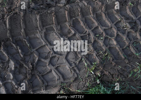 Reifendruck / Spur im Schlamm. Reifenspuren, Gleise, schlammige Spur. Stockfoto