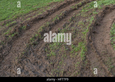 Tiefe Furchen im Schlamm von Traktor Reifen/Reifen auf Gras. Reifen Spuren Spuren, Stick in den Schlamm, matschigen Textur, schlammige Oberfläche, Schlamm, winter Schlamm Stockfoto