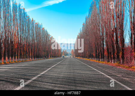 Autobahn-Straße in die Berge durch die Gasse Herbst rote Pappeln Stockfoto