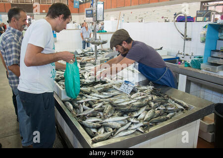 der Fisch Markt in der Markthalle der alten Stadt Olhao an der Ost-Algarve im Süden von Portugal in Europa. Stockfoto