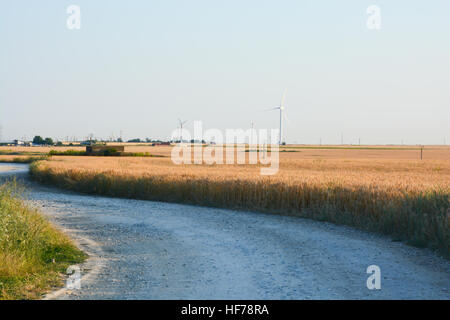 Windenergieanlagen spinning weit auf landwirtschaftlichen Bereich an einem Sommertag Stockfoto