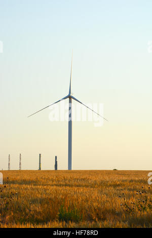 Windenergieanlagen, die Spinnen auf landwirtschaftlichen Bereich an einem Sommertag Stockfoto