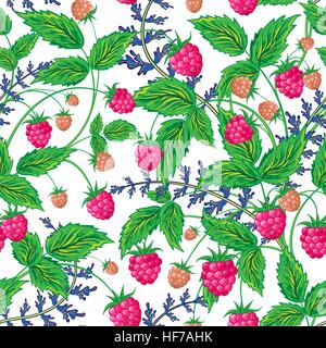 Himbeeren Musterdesign mit Himbeeren und Blätter auf weißem Hintergrund Stock Vektor