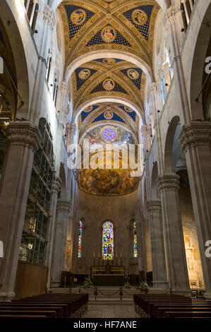 Kirchenschiff der Duomo di San Martino, die römisch-katholische Kathedrale von Lucca, Toskana, Italien. Stockfoto