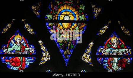 Glasmalerei-Fenster Darstellung der Eucharistie und der Heilige Gral in der Kathedrale St. Bavo in Gent, Flandern, Belgien. Stockfoto