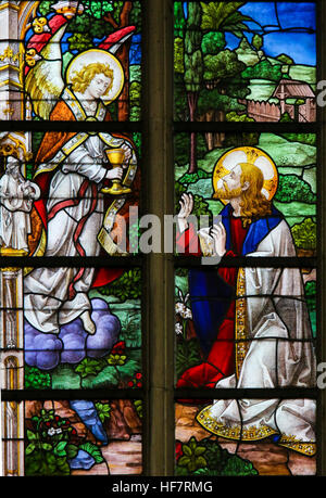 Glasmalerei-Fenster Darstellung Jesus betet im Garten Gethsemane, in der Kathedrale St. Bavo in Gent, Flandern, Belgien. Stockfoto