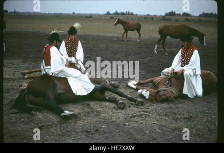 Reiter von der Puszta in traditioneller Tracht darstellende traditionell zur Kultur der ungarischen Steppe Pferd Pferdesport Kunst; Ungarn. Stockfoto