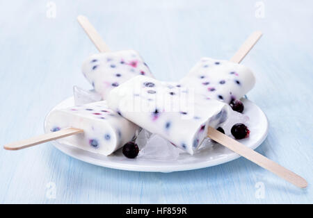 Eis aus gefrorenen Joghurt und schwarze Johannisbeere, Nahaufnahme Stockfoto